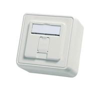 Telegärtner 100021381 Network outlet Surface-mount 1 port Alpine white