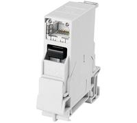 Telegärtner RJ45 Socket 8P8C Light Grey 1pc Built-in Connector 100007436