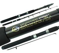 Telescopic 10ft Fishing Rod Carbon Travel Stalking Pike spinning Rod HUNTER PRO