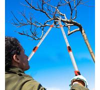 Telescopic Anvil Garden Tree Loppers - Heavy Duty Ratchet Lopper Extendable 690mm to 1000mm for Pruning Tree Hedge Branch