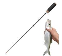 Telescopic Fishing Rod, 2 Sections Retractable Pole for Ice Fishing - Long Distance Rod - for Freshwater Offshore, Surfing, Coastal, Trolling, Throwing, Travel, Camping,