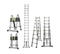 Telescopic Ladder, 5m(2.5+2.5) Multi-purpose Aluminium Folding Ladder, Non-Slip Extendable Ladder, Robust Portable Stepladder, for Home/Office/Warehouse/Loft