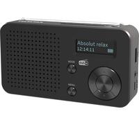 TELESTAR TOP 100 Mobile DAB+/FM Radio (Replaceable Battery, Up to 15 Hours Playtime, Short Charging Time, Bluetooth 5.4, USB Media Player) - Black
