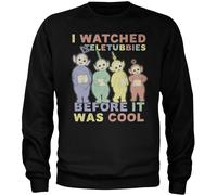 Teletubbies I Watched Before It Was Cool Sweatshirt CPLG-3-TTUB001-H59-8