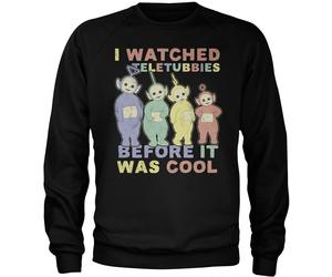 Teletubbies I Watched Before It Was Cool Sweatshirt CPLG-3-TTUB001-H59-8