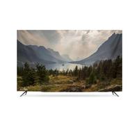 Television cover, Indoor Landscape Printing TV Cover 32"-85" Dust-proof Polyester Screen Protector For Stand Mounted Televisions LED LCD(B,55in)