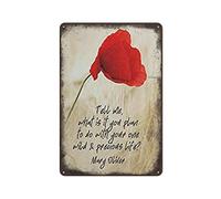Tell Me What is It You Plan to Do with Your One Wild & Precious Life Self Love Art Print Wall Decoration,Novelty Retro Metal Tin Sign Poster Plaque Bar Pub Club Cafe Home Decor 5.5×8 inch gift