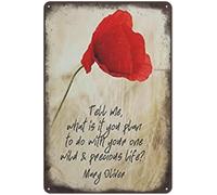 Tell Me What Is It You Plan To Do With Your One Wild & Precious Life Self Love Art Print Wall Decoration,Novelty Retro Metal Tin Sign Poster Plaque Bar Pub Club Cafe Home Decor Gift 8"x12"