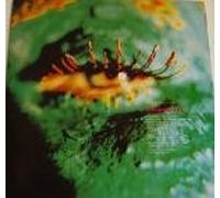 tell me when the fever ended ( CD:MAXI ) Electribe 101 / Billy Ray Martin