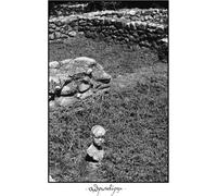 TELMA - MAN-EATER - New Vinyl Record - 85 - X72z