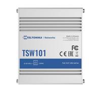 Teltonika TSW101 Automotive-Dedicated