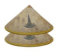 Temeemeg Rice Hat 2 Pack Woven Chinese Bamboo Hat for Kid 14 Inch Sun & Rain Cap with Plant Patterns for Summer Party Performance