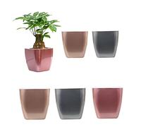 Temeemeg Self Watering Planters Plastic Flower Pots for Indoor Plants Orchid African Violet Home Decoration.