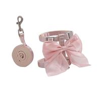 TEMOOUES Tear Resistant Scintillate Puss Rope Ergonomic HELLO Back Plan Quick Break Ending for Pet Comfort Tear Resistant Puss Collar and Rope Set