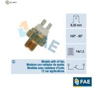 FAE 36060 Temperature Switch, radiator fan