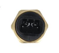 Temperature Switch, radiator fan HELLA 6ZT 007 807-001 for SINTRA (APV) 3 1996-