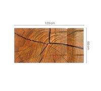Tempered Glass Hearth Plate Mat Wood Grain In Cross-Section Square Rectangular