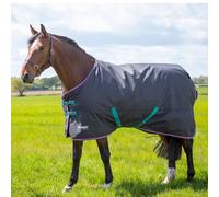 Tempest Original 300 Horse Turnout Rug ER908