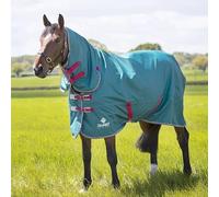 Tempest Original Air Motion Combo Turnout Rug - GREEN 2022 (6'6")