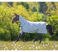 Tempest Plus Sweet-itch White Combo Rug - 69"