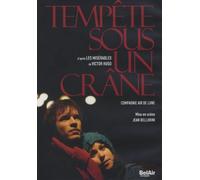 Tempete Sous Un Crane: Compagnie Air De Lune [DVD]