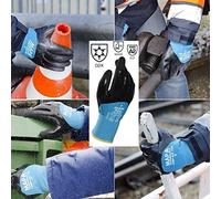 TempIce 700 Extreme Cold Weather Gloves, Work Gloves Best in Class for Cold Protection -10°C Workman, Warehouse, Cold store/Freezer, Outdoors, Black/Blue, Size 9, (1 Pair) Protective Gloves, 700419