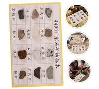 TEMPNAP 12 pcs Mineral Rock Specimen for Geology Classroom Diverse Geological Samples for Display Collecting and Field Testing Educational Kit for Students and Enthusiasts