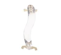 TEMPNAP 1pc Acrylic Violin Rest Supporter Instrument Holder for Violin Reduces Back Pressure Deep Arc Design for Stability Easy Use Support Pad White