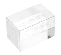 TEMPNAP 3d Crystal Human Anatomy Model Cube with Realistic Display and Fine Craftsmanship, Educational Anatomical Study Tool for Students, for Office Display and Home Decor