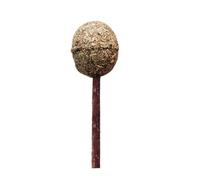 TEMPNAP Catnip Lollipop Cat with Wooden Stick and Coffee Cat Mint Ball Natural Molar Teeth Chewing to Help Gum Disease and Obedience Training