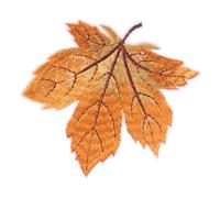 TEMPNAP Embroidered Maple Leaf Applique Patch Heat Sealant Back 12pcs Yellow for DIY Sewing and Wireless Stitch Embroidery Decoration for Clothing