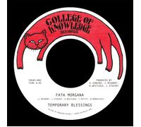 Fata Morgana/Silence Leaves An Open Wound [VINYL]