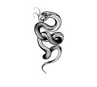 Temporary Snake Tattoo Stickers, Arm Pattern Semi-permanent Waterproof Lasting 1-2 Weeks, Fake Tattoos(2pcs)