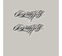 Temporary Tattoo Stickers For Chest And Upper Arms Are Waterproof, Rub-proof, Non-reflective, Simple And Long-lasting, Fake Tattoos(2pcs)