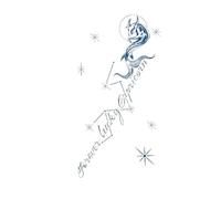 Temporary Tattoos Man Half Arm Chest Waterproof Fake Tattoo Herbal Juice Tattoo Sticker(08)
