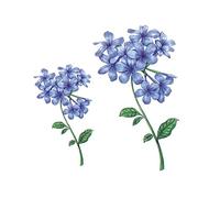 temporary tattoos,Tattoos. tattoos,5 Sheets Blue Hydrangea Temporary Tattoo Stickers Waterproof Realistic Plants Flowers Fake Body Art Kit