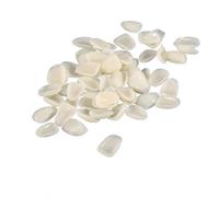 Temporary Veneer Caps Kit 100 PCS for Missing Front Teeth | Temporary Dental Tooth Caps for Front Teeth - Cosmetic Appearance Solution for Gaps and Broken Tooth Appearance