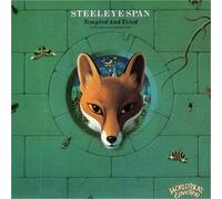 Tempted & Tried by Steeleye Span (1990-02-27)