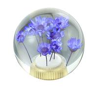 Temzzer Crystal Gear Shift Knob Transparent Flower Car Grip Stick Head Resin Shifter Handle Lever for Most Manual Automatic Vehicles (Purple Flowers)