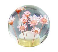Temzzer Crystal Gear Shift Knob Transparent Flower Car Grip Stick Head Resin Shifter Handle Lever for Most Manual Automatic Vehicles (Pink Flowers)