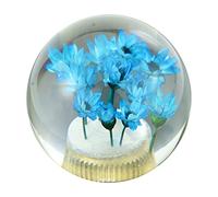 Temzzer Crystal Gear Shift Knob Transparent Flower Car Grip Stick Head Resin Shifter Handle Lever for Most Manual Automatic Vehicles (Blue Flowers)