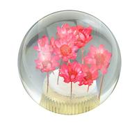 Temzzer Crystal Gear Shift Knob Transparent Flower Car Grip Stick Head Resin Shifter Handle Lever for Most Manual Automatic Vehicles (Red Flowers)
