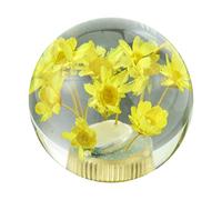 Temzzer Crystal Gear Shift Knob Transparent Flower Car Grip Stick Head Resin Shifter Handle Lever for Most Manual Automatic Vehicles (Yellow Flowers)