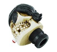Temzzer Shifter Knob Skull Vehicle Shift Lever Handle Resin Transmission Gear Stick Head for Most Manual Automotive Vehicles (Black)
