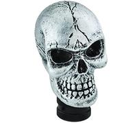 Temzzer Skull Resin Transmission Shift Lever Knob Heavy Shiny Vehicle Shifter Handle Stick Head for Most Manual Automotive Vehicles (Silver)