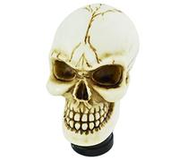 Temzzer Skull Resin Transmission Shift Lever Knob Heavy Shiny Vehicle Shifter Handle Stick Head for Most Manual Automotive Vehicles (Beige)