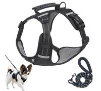 TenaLucy Wear-resistant and Breathable Dog Harness for Small Dogs, with Reflective Strips, Harness, Neck and Lead for Dogs, Adjustable Chest Harness Dog for Small Medium Dogs (XS)