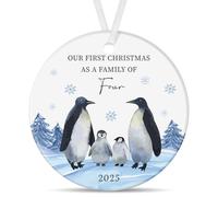 Tenare First Christmas as a Family of Four Penguin Design Ceramic Bauble Ornament for Xmas Tree Personalised Decoration Family New Baby Gift Baby's First Christmas Keepsake New Parents Gift
