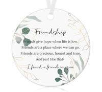 Tenare Ornament White Ceramics Friendship Gifts for Women Best Friends | White Ceramic Hanging Ornament, Thoughtful Appreciation Gifts, Thank You Keepsake for Best Friends, Eucalyptus Design