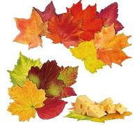 Tenceur 150 Pcs Parchment Paper Leaves 7.2 x 7.2 in Thanksgiving Fall Leaf Distribution Leaves Grape Maple Leaf Cheese Paper Autumn Decorative Parchment Paper for Plate Table Festival Party Serving